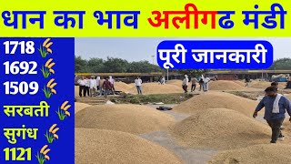 अलीगढ मंडी धान का भाव #dhaankbhav #jeetufarmingaligarh #paddybhav