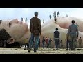 الناس وجدوا جثة إنسان عملاق طوله 60 متر على الشاطئ.. The Drowned Giant
