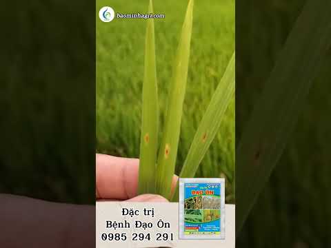 Nhận biết bệnh