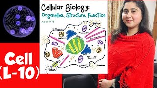Gram staining procedure I Class 11 CBSE (BIOLOGY) I Cell as unit of life