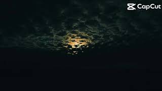 copy 49D4CFCB 90BA 485A 8B8E D2A4BF267FAA