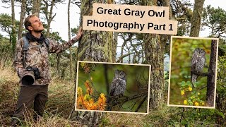 Photographing Great Gray Owls part 1. Bird photography in the forest, photograph Owls in any weather by Jimmy Breitenstein 1,980 views 6 months ago 20 minutes