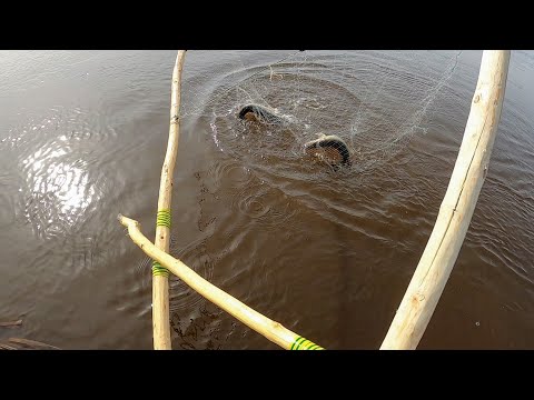 Видео: ТАК ЛОВИЛИ 100 ЛЕТ НАЗАД!!! Забытая снасть наших дедов!!! ЛОВЛЯ ЩУКИ НА КРИВДУ!!! Рыбалка 2022.