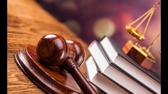 gozal ayol mushuklari