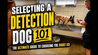 Selecting Detection Dogs 101 with Jake Wright