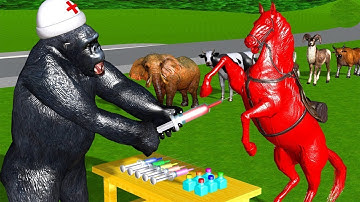 Bé Đi Chơi Công Viên 🦁 Cháu Lên Ba💙 Con Khỉ, Voi, Ngựa, Gấu Nhạc Thiếu Nhi