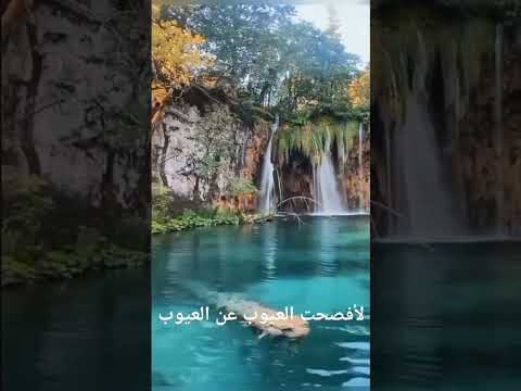 من تتبع خفايات العيوب حرم مودات القلوب 