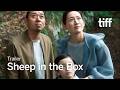 SHEEP IN THE BOX Trailer | TIFF 2026