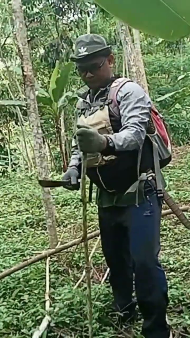 Suasana Alam Di Perkampungan