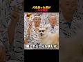 ㊗️10万再生‼️犬を拾った男が〇んだ理由😢 #shorts #バズ動画 #感動 #動物 #dog #犬 #柴犬