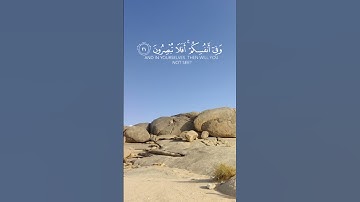 [الذاريات ٢٠-٢٢] #القرآن_الكريم #قرآن #سورة_الذاريات