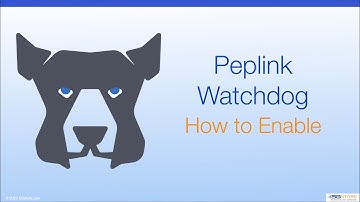 Peplink Watchdog - How to Enable