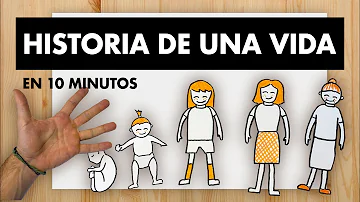 ¿Cuáles son las 13 etapas de la vida?