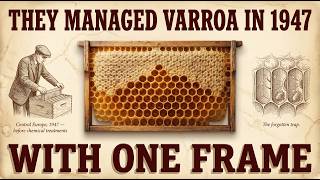 The 1947 Varroa-Proof Frame Hack They Used Before Chemicals And How to Adapt It Today