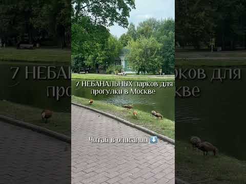 Список парков в комментариях и в тг канале: averinaave ⬅️ #обзор #парк #прогулка #атмосфера #shorts