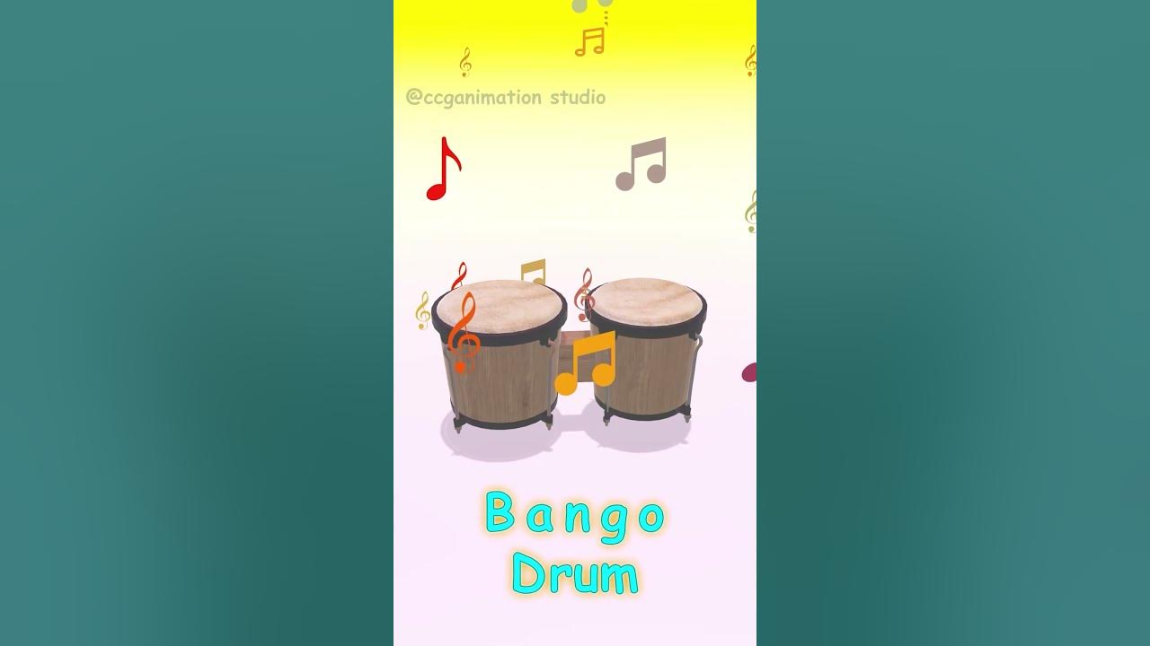 Famous bongo drum Music Musical Instruments Sounds for Kids ytshorts shorts music YouTube