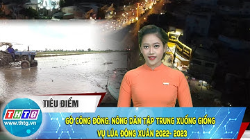 Gò Công Đông: nông dân tập trung xuống giống  vụ lúa đông xuân 2022- 2023