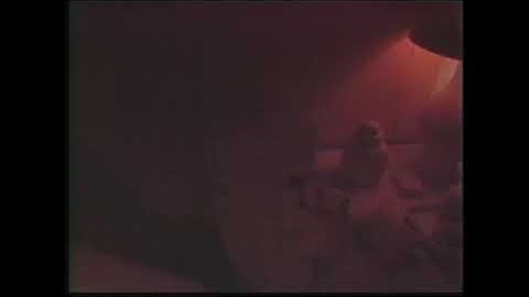 Displacements Film Installation, SFMOMA, 1984