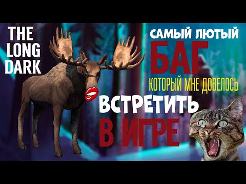 Video: Akses Awal The Long Dark Menghadirkan Waktu Menyendiri Yang Berkualitas