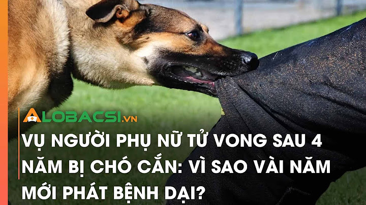 Bị chó dại cắn bao nhiêu lâu thì phát bệnh