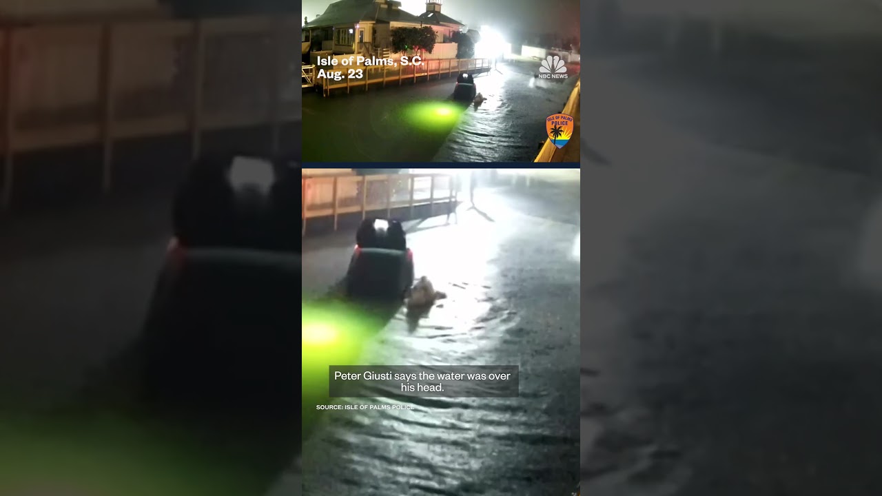 Good Samaritans rescue sinking driver from creek