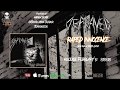 DEPRAVED - See My Suffering World (Official Stream Video) | Music-Records