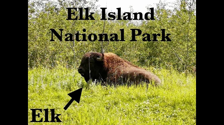 Hiking In Elk Island National Park - How Hard Can It Be?
