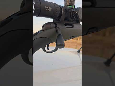 تجربة ضبط الهارمونك شتاير قطعة شارب شوتر