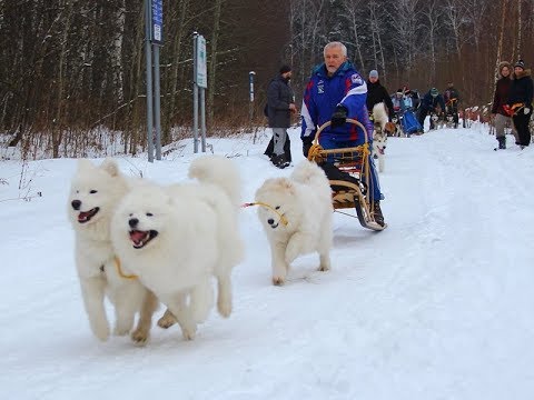 Video: 7 Efektívnych Spôsobov, Ako Prestať S Cukrom