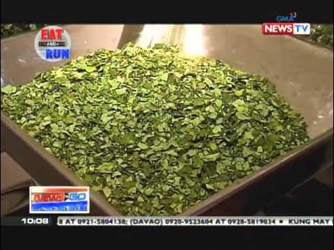 News to Go - The health benefits of malunggay on Eat and Go 3/16/11
