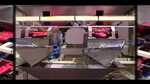 Automated Packaging Systems - Autobag Linear Weigh Scale