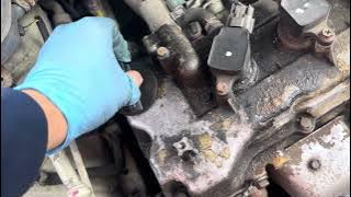 YT54VRR Nissan-Almera Tino VSKTBAV10U0165724