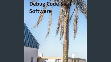 Debug Code Soul Software