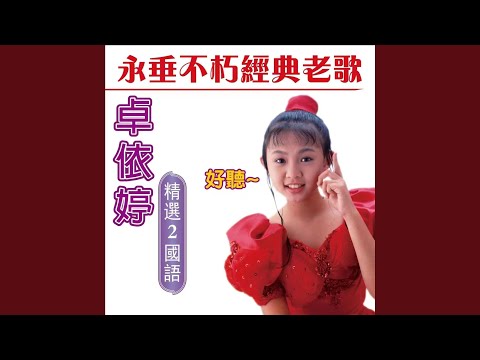 迎春花