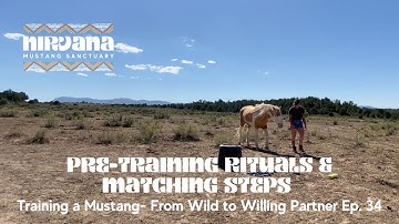 Pre-Training Rituals & Matching Steps: Training a Mustang- From Wild to Willing Partner Ep. 34