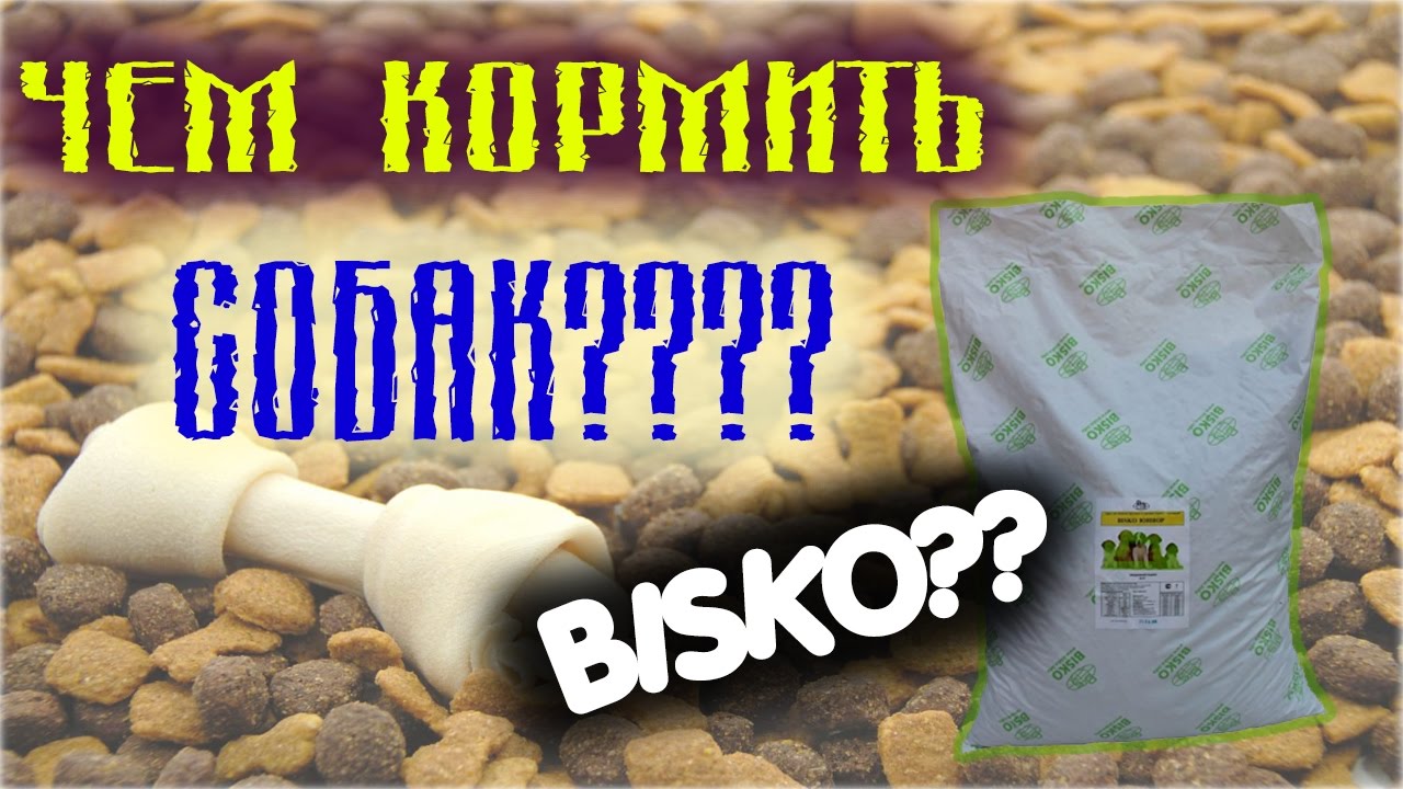 КОРМ ДЛЯ СОБАК BISKO/ЧТО ЭТО???