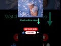 Your Baby’s Calm Place | Soothing White Noise for Restful Sleep