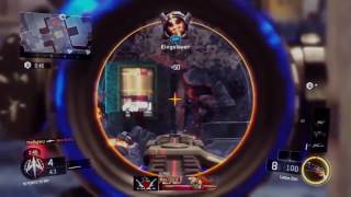IDENTITY - A Multi-Cod Tritage