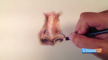 How to Draw a Realistic Nose in Colored Pencils