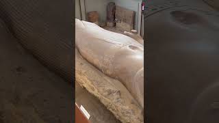 Gigantic Statue of Ramesses II👀 #travel #ramessesii #cairo_egypt Gigantic Statue of Ramesses II👀 #travel #ramessesii #cairo_egypt