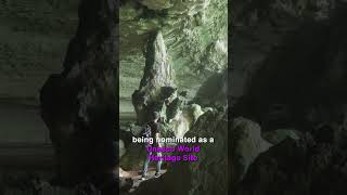 Download Lagu The Cave System in Niah National Park. MP3