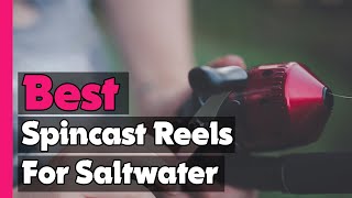best open face reel under 50 saltwater Best Saltwater Spinning Reels For 2026