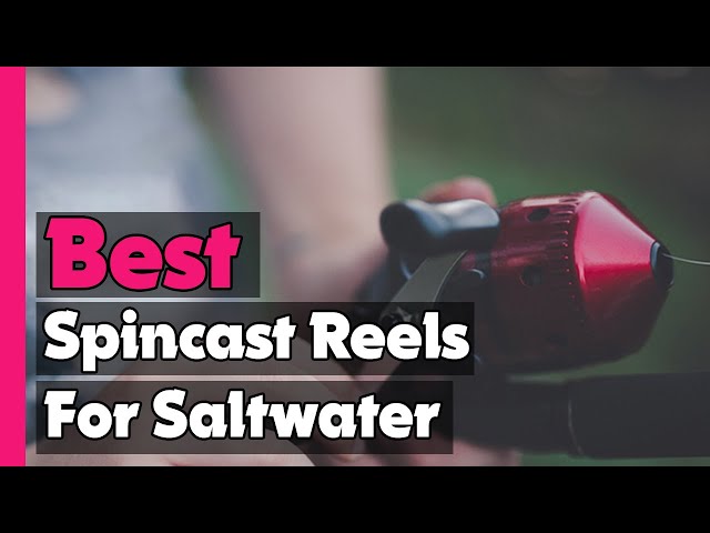 ✓Top 5: Best Spincast Reels For Saltwater In 2023 🎣 [ Best Saltwater  Spinning Reel Combos ] 