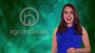 TITULARES AGRONOTICIAS sie7e PROGRAMA 162