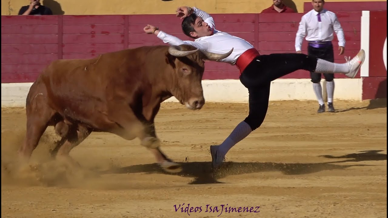 Alagón (Zaragoza) 15/06/2024 - Concurso de recortes con toros - HD