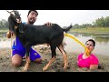 Must watch new special comedy 2023 totally amazing comedy episode 220 busyfunltd