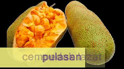 Dunia Muzik Tahun 3 - Playlist 