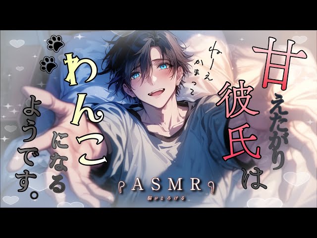 【🍎睡眠導入/女性向け🍎】かまってほしいワンちゃんはスマホをいじる彼女に意地悪する【asmr/声優】