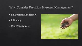 Precision Nitrogen Management