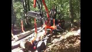 gozdarska prikolica,TV732,forestry trailer